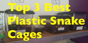 plastic snake terrarium