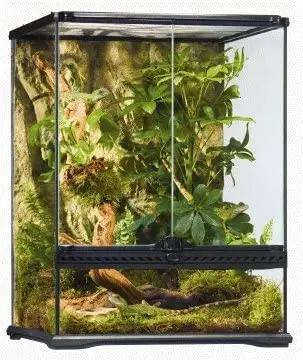 Arboreal Snake Cage 