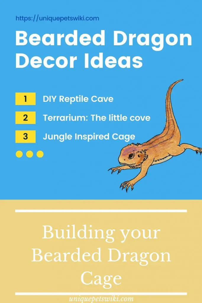 Bearded dragon Tank Décor Ideas