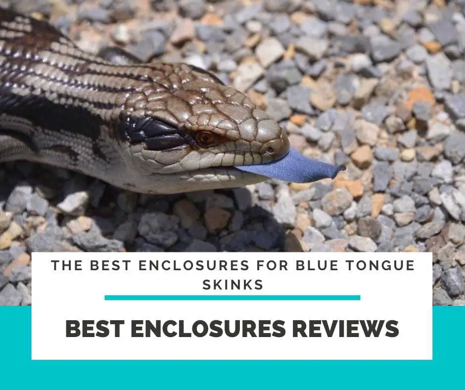 Best Enclosures Reviews