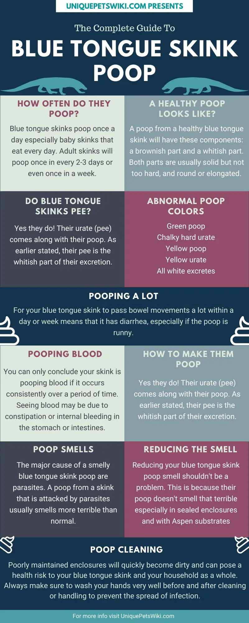 Blue Tongue Skink Poop Infographics