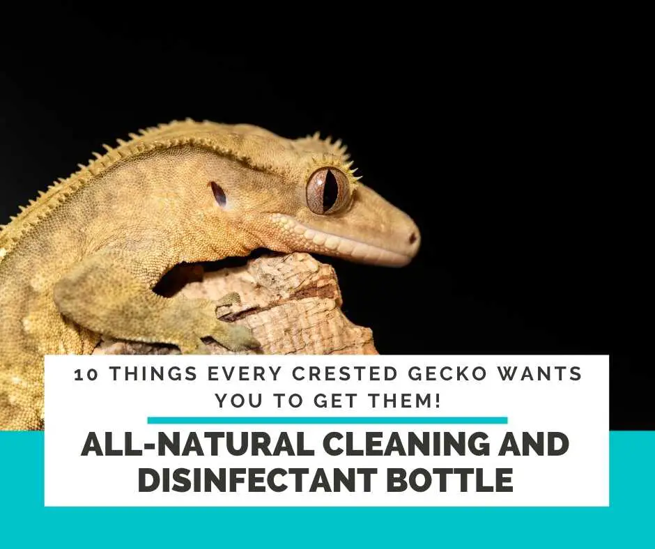 All-Natural Cleaning And Disinfectant Bottle