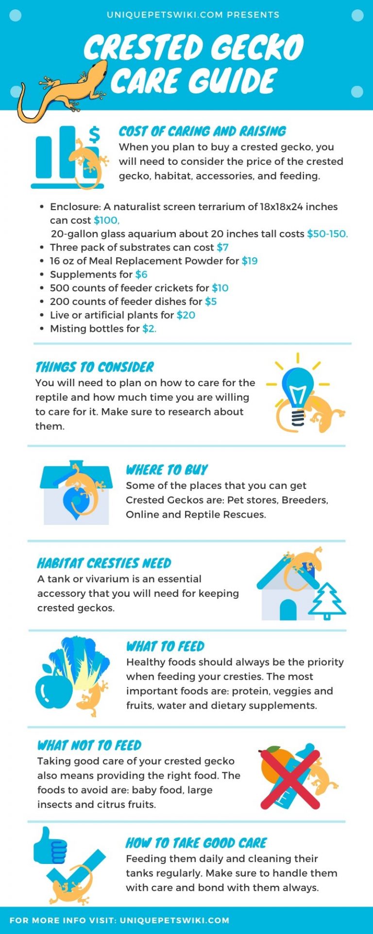 The Ultimate Crested Gecko Care Guide for Beginners