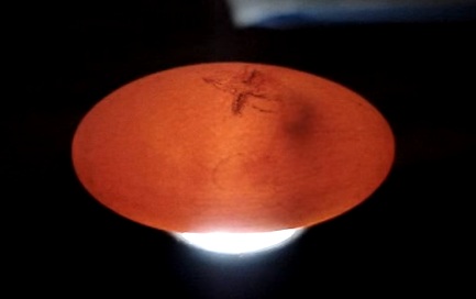 Crested Gecko Egg Candling