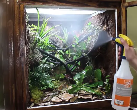 Crested Gecko Tank Cleaning