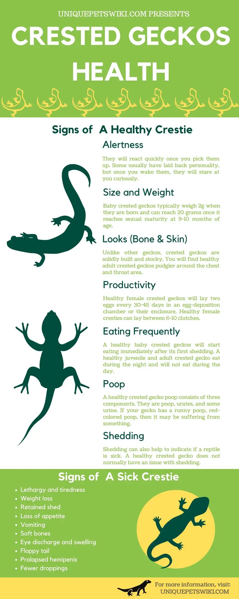 Crested Geckos Health Infographics