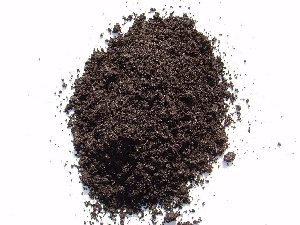 Soil Bedding