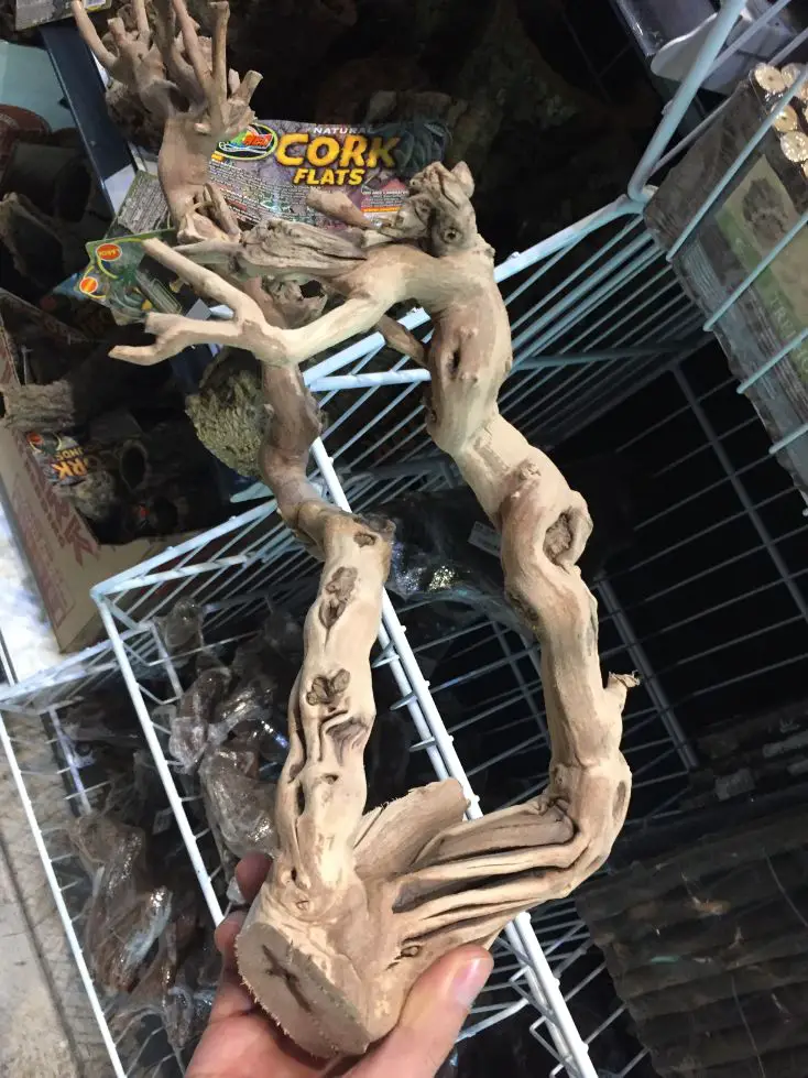 branches are needed in terrarium for your crested geckos