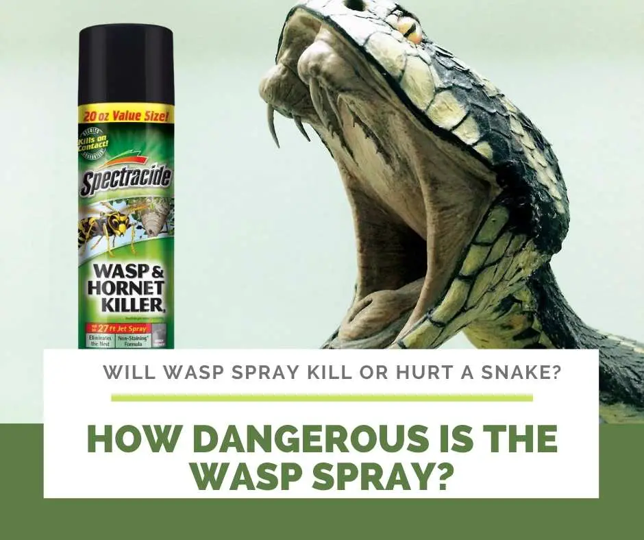 Will Wasp Spray Kill A Snake