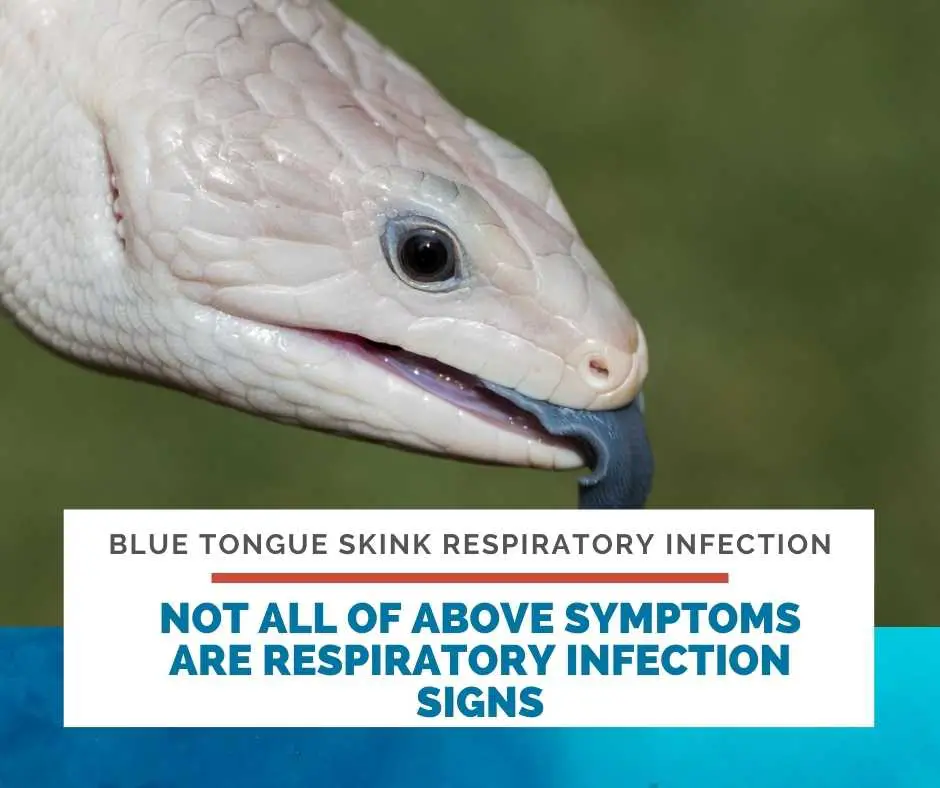 Not All Of Above Symptoms Are Respiratory Infection’ Signs