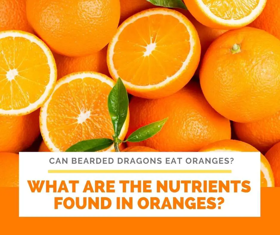 What Are The Nutrients Found In Oranges?