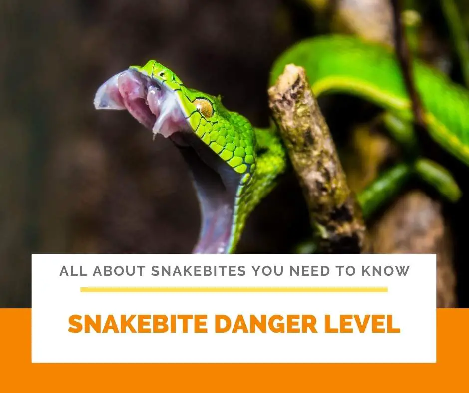 Snakebite Danger Level