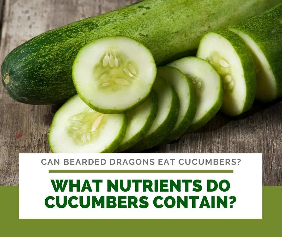 What Nutrients Do Cucumbers Contain?