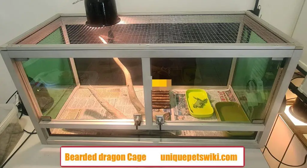 bearded dragon cage setup