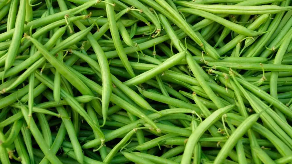 Green Beans Nutrition Facts