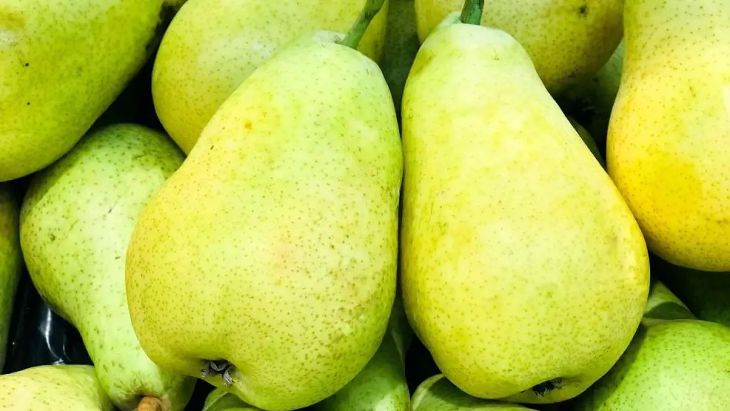 Are Pears Nutritious?