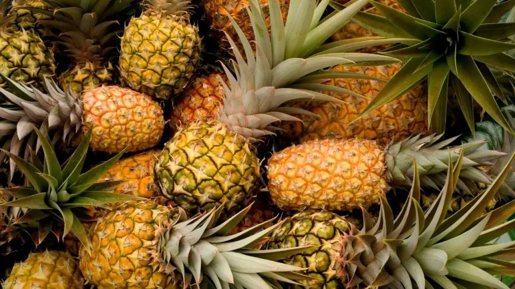 Nutritional Profile Of Pineapples