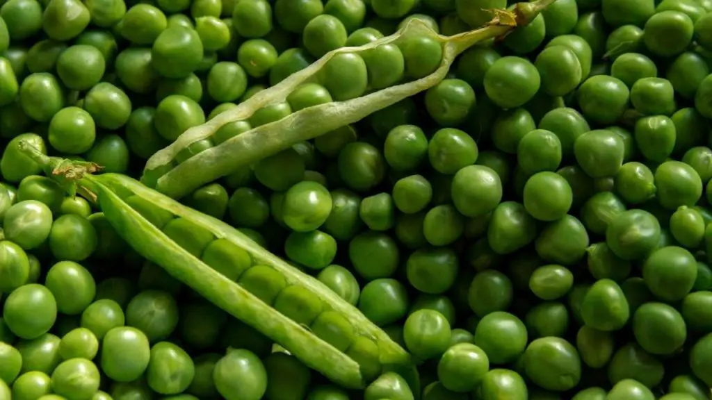 Peas Nutritional Information
