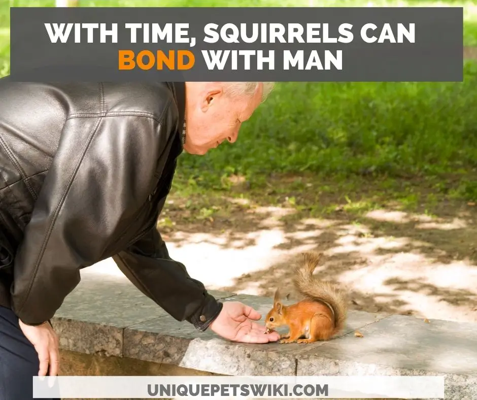 A man feeding a squirrel