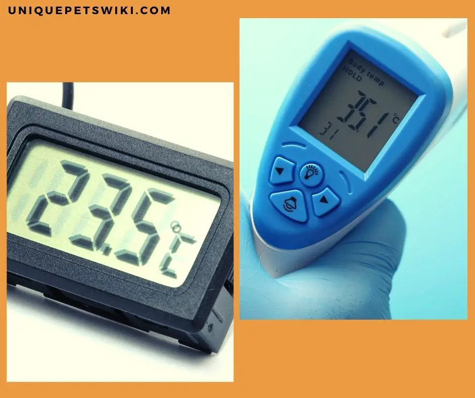 use thermometers Make Sure To Get Accurate Temperature Readings