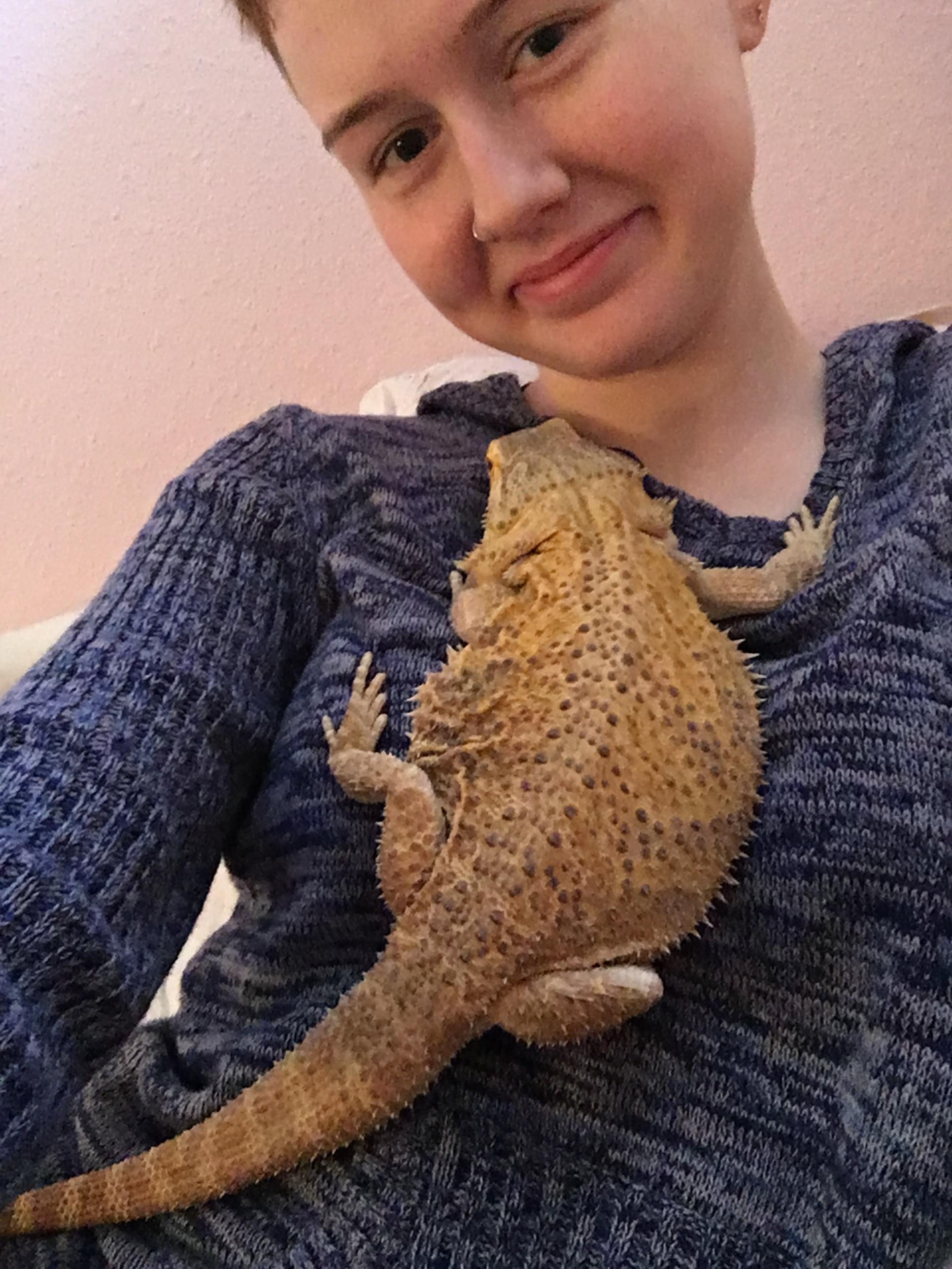 Girl with German giant bearded dragon