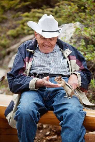 A scared squirrel bites man