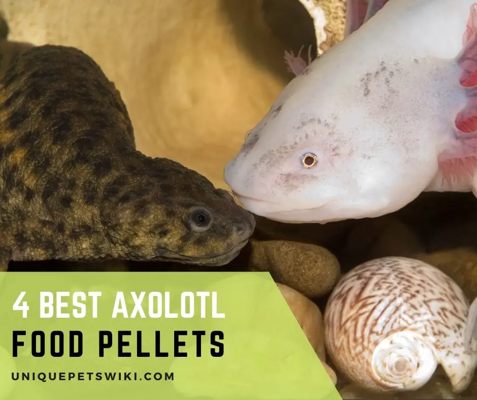 Axolotl Food Pellets