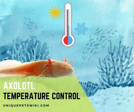 Axolotl Temperature Control