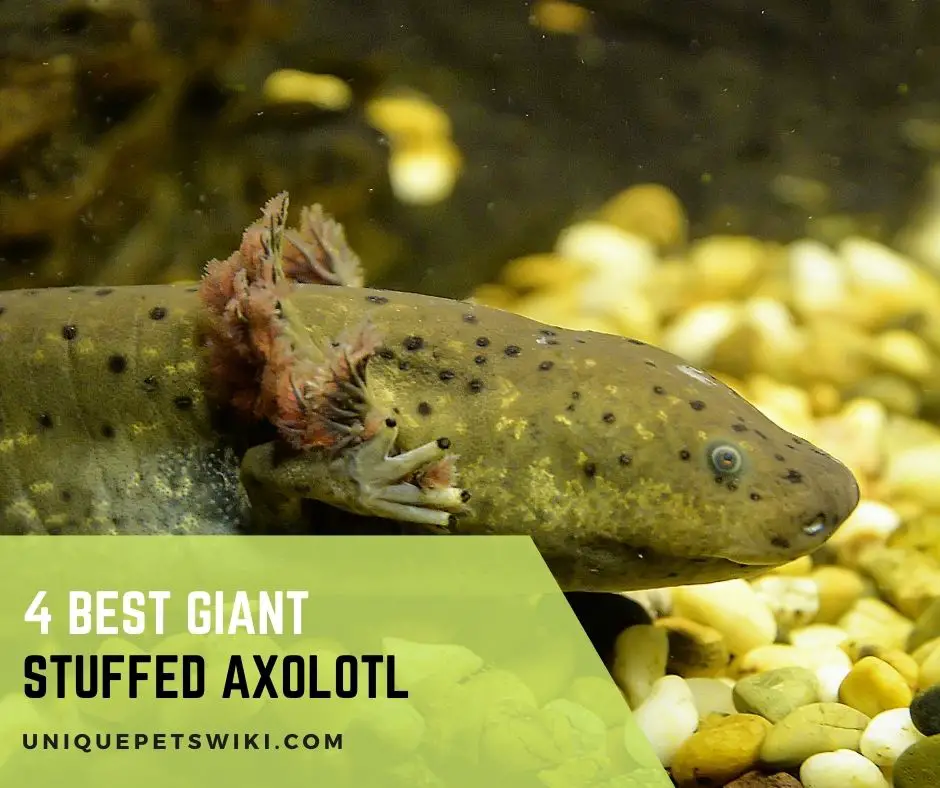 Giant Stuffed Axolotl