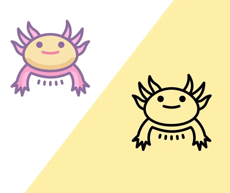  Axolotls Can Change Color