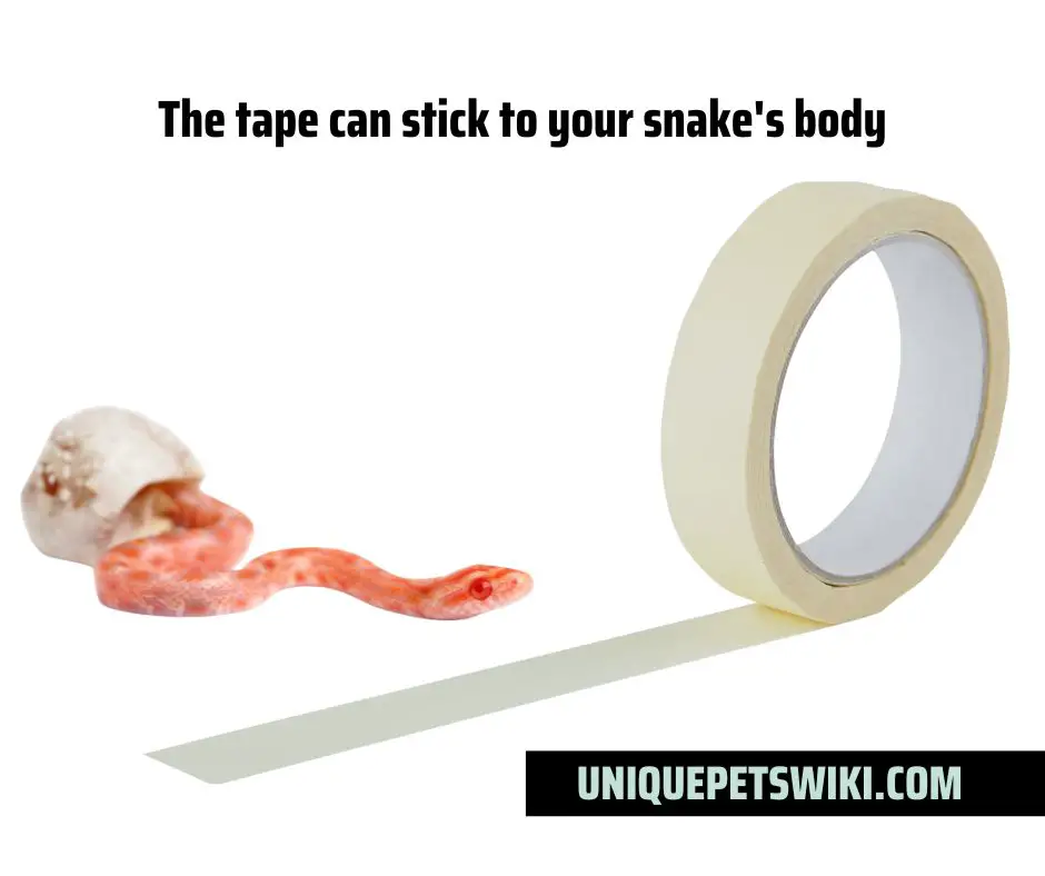 The tape can stick to your snake's body