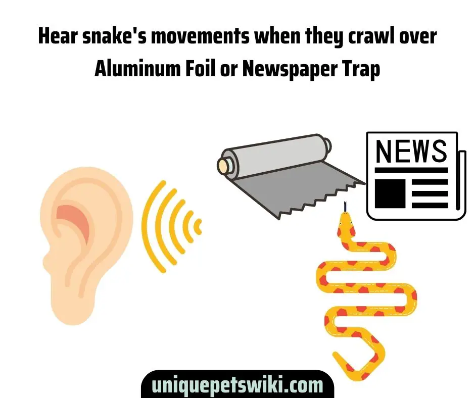Uses of Aluminum Foil and Newspaper Trap