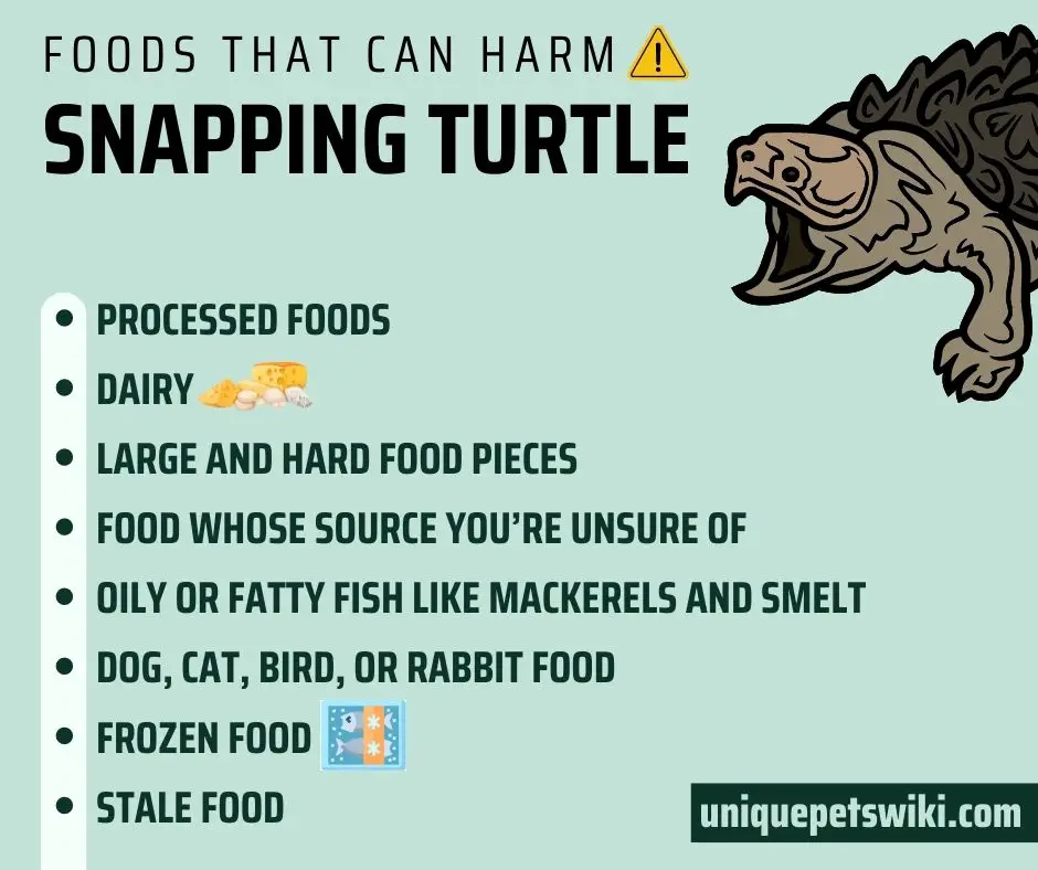  Foods can harm your snapping turtle